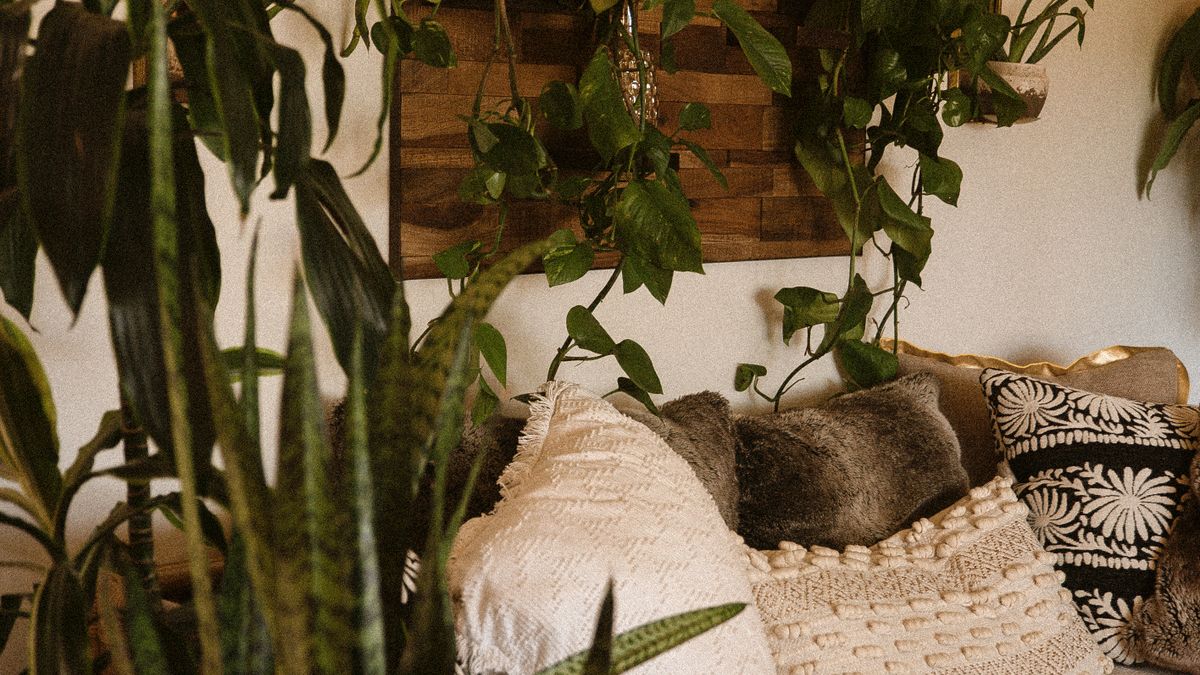 Tendances décoration 2027