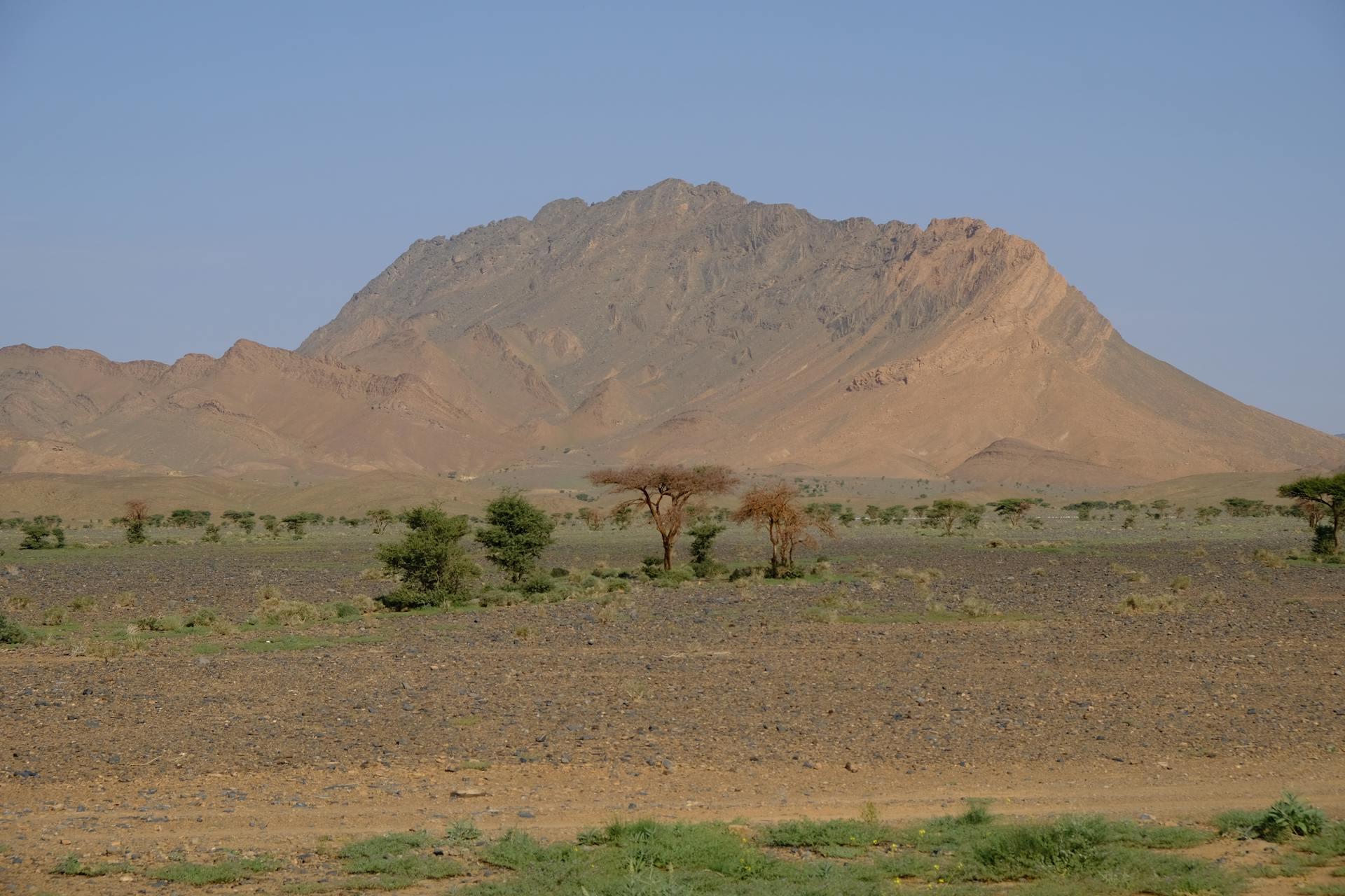 Beautiful mountain landscape in the Moroccan desert with scattered trees.