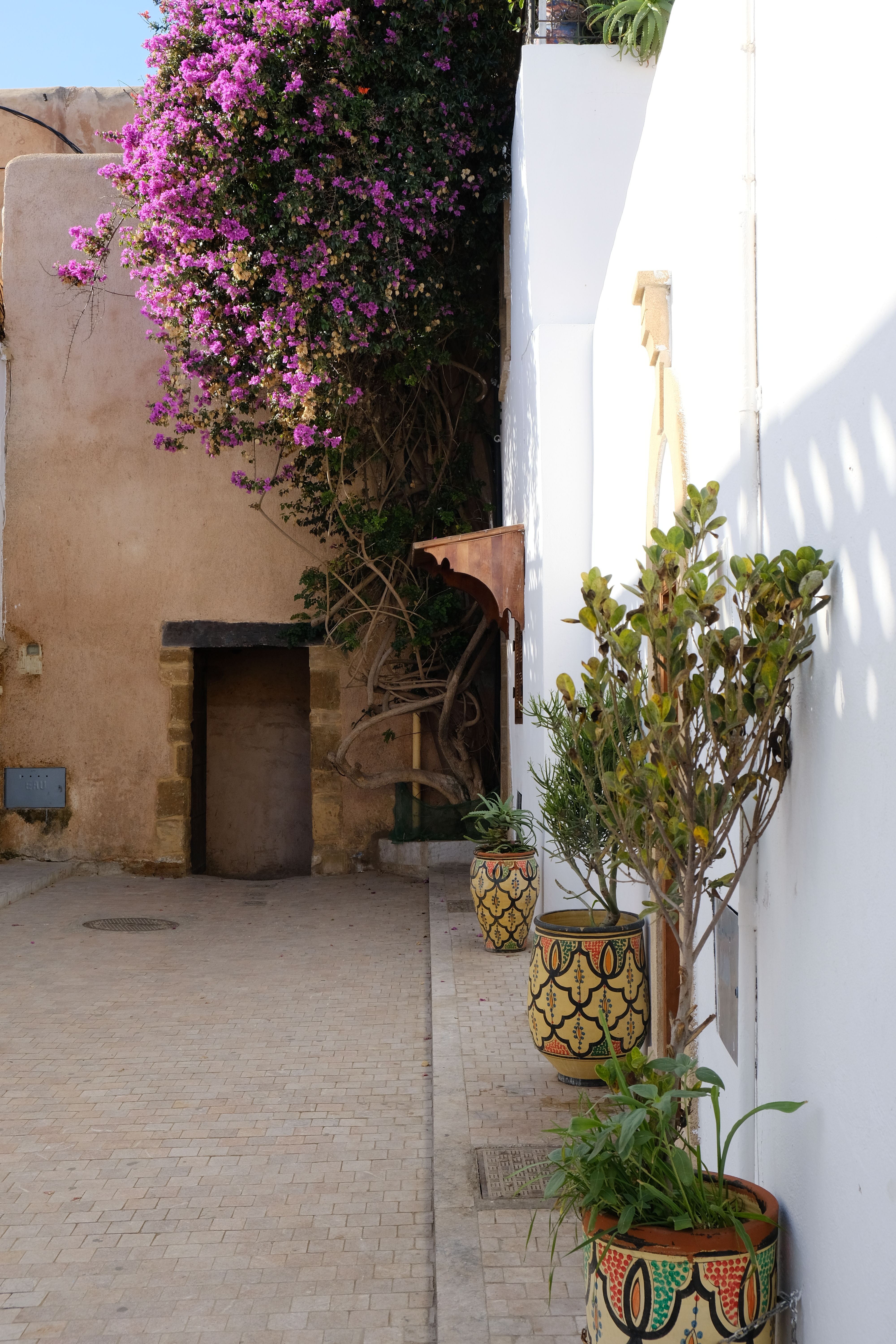 Moroccan riad courtyard with bougainvillea — Suite Fatiha