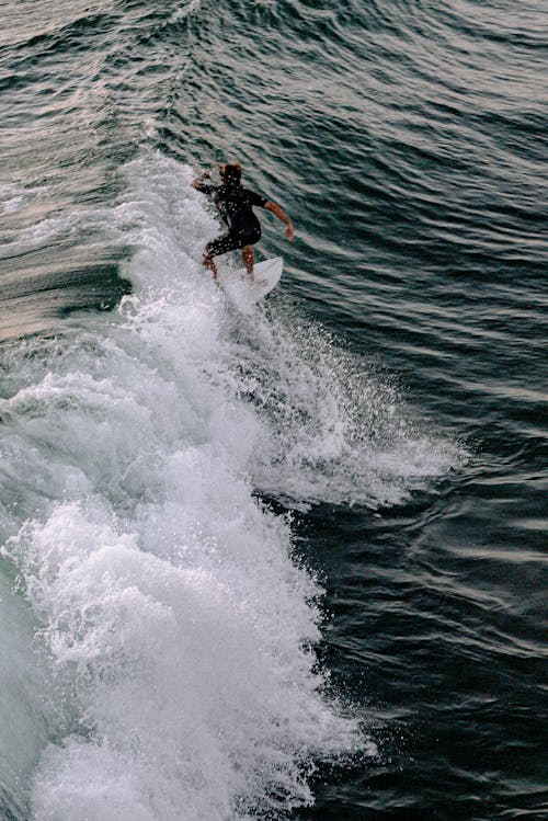 gratis Foto Van Man Surfen Op Zee Golven Stockfoto