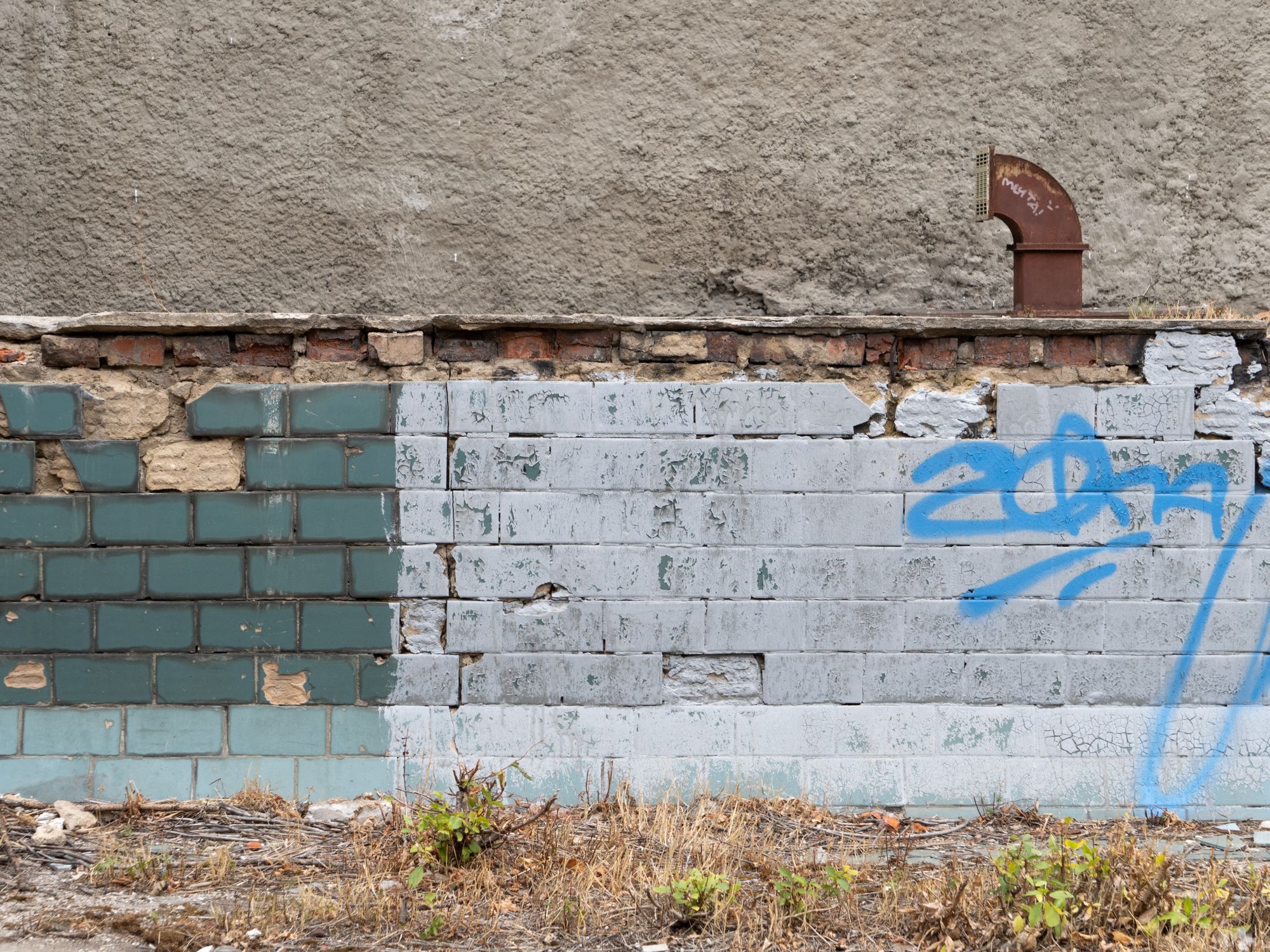 Painters & Decorators in Turnpike Lane, London — professional decorator painting a wall with a roller