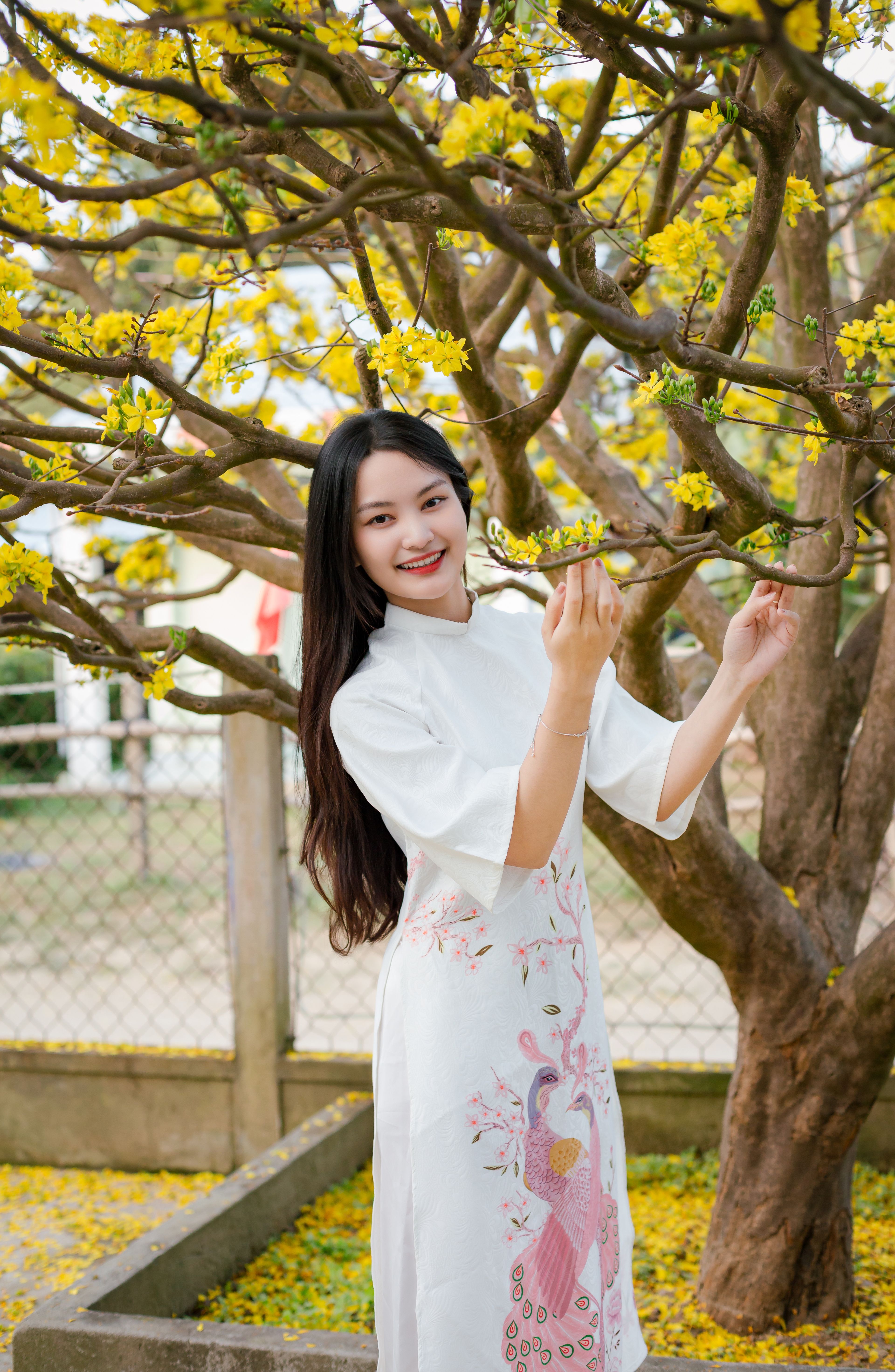 Woman in white dress amidst yellow blossoms in Hội An, Vietnam