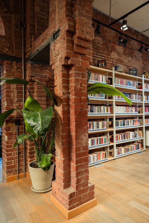Free Inviting library space with brick walls, bookshelves, and a large plant. Stock Photo