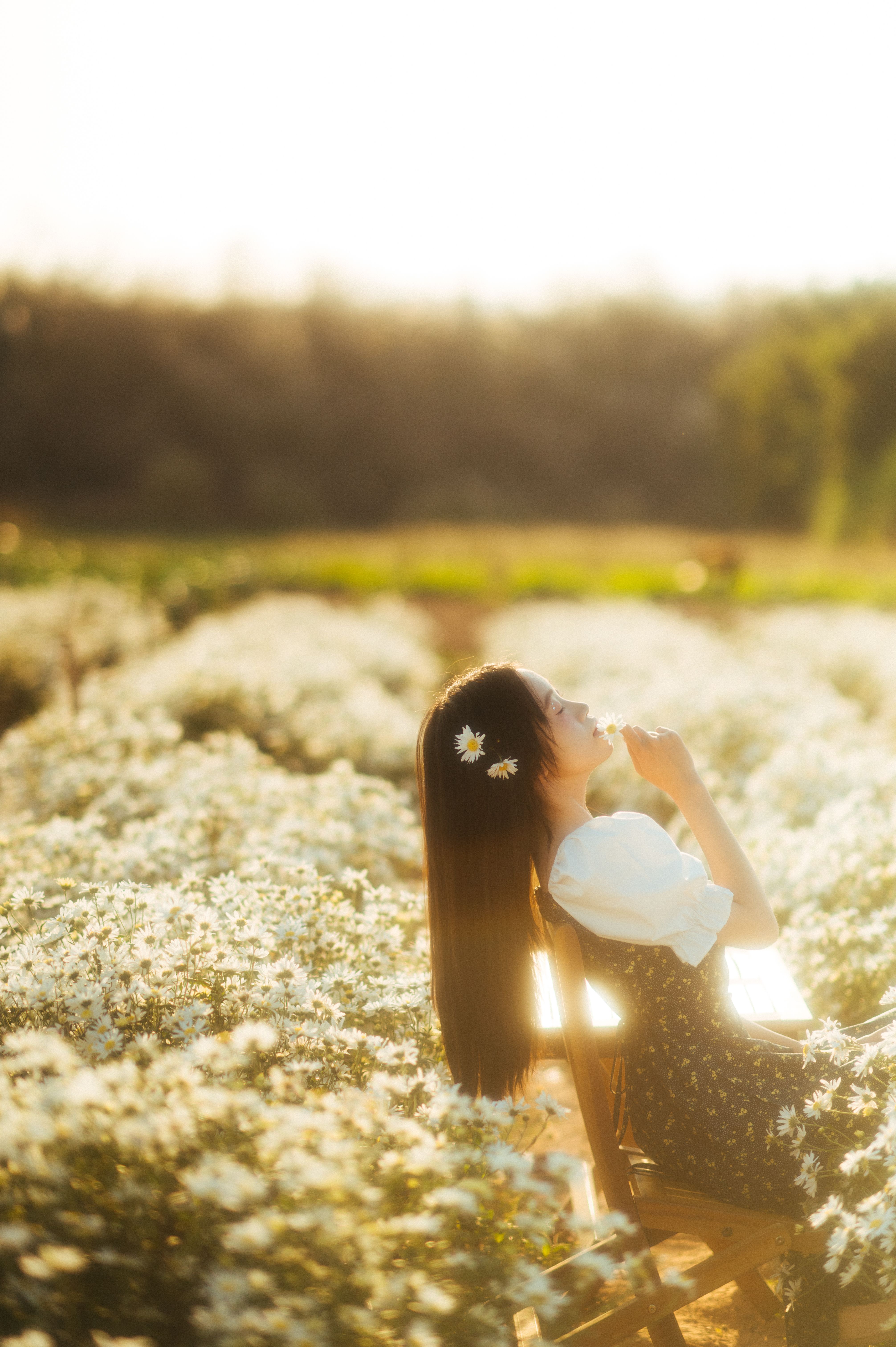 A serene scene of a young woman enjoying the beauty of a daisy field in Lạng Sơn, Vietnam.