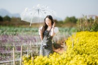 Woman with Umbrella in a Vibrant Flower Field