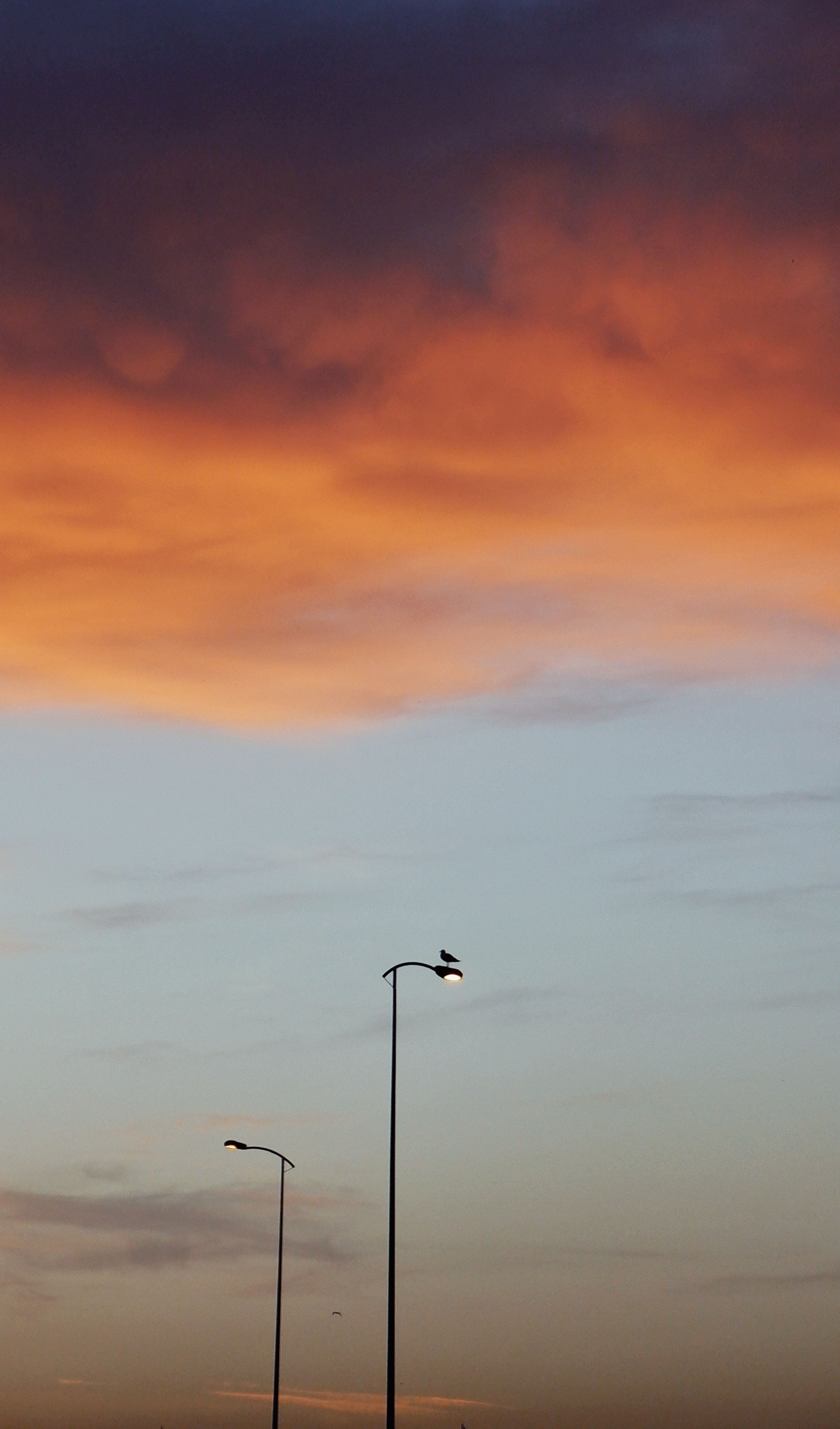 Silhouette of streetlights against a dramatic sunset sky with orange and purple hues.