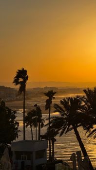Palm trees silhouetted against a vibrant, golden sunset at a tropical beach.