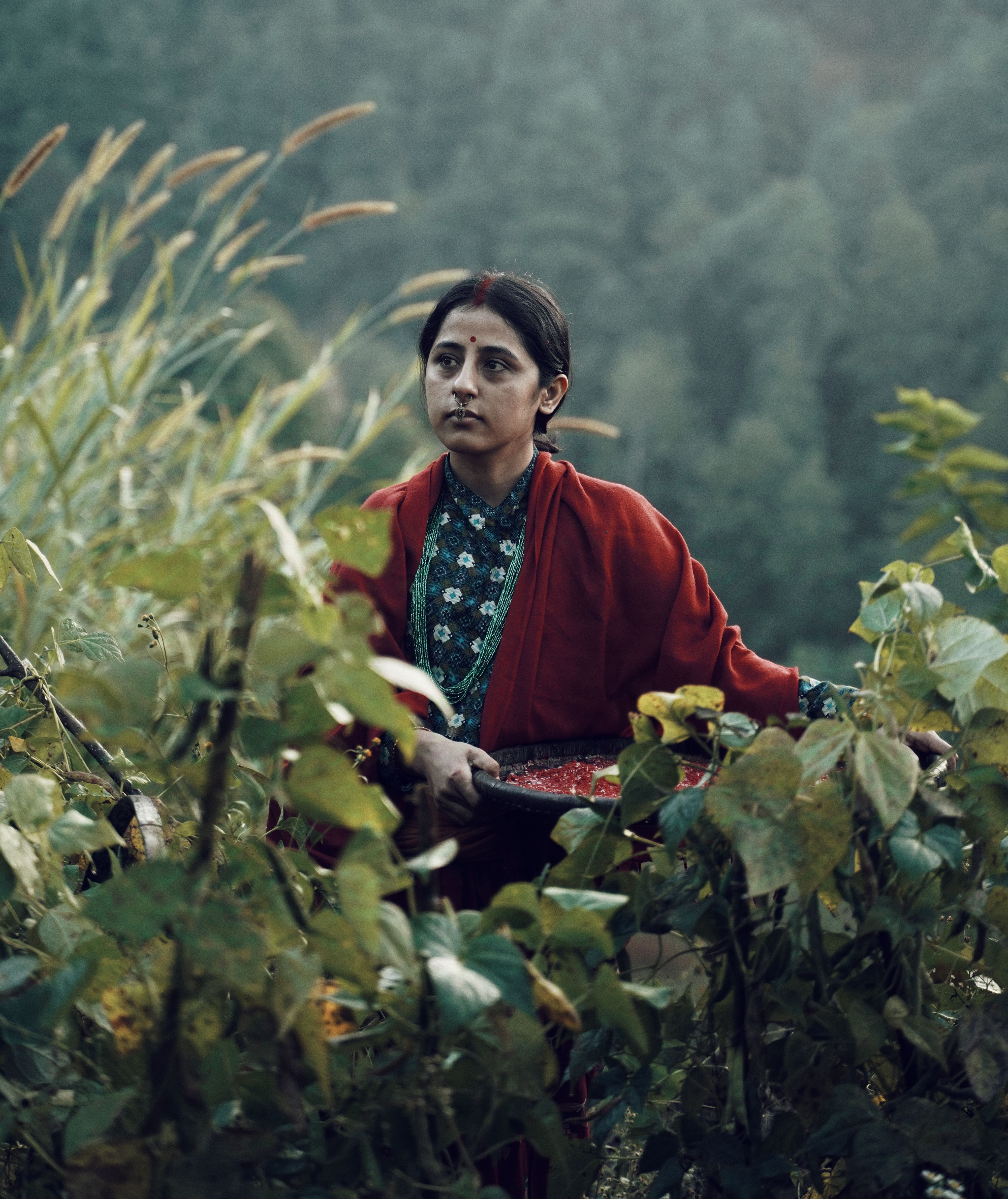 Portrait of a woman in traditional attire harvesting in a rural lush green field.