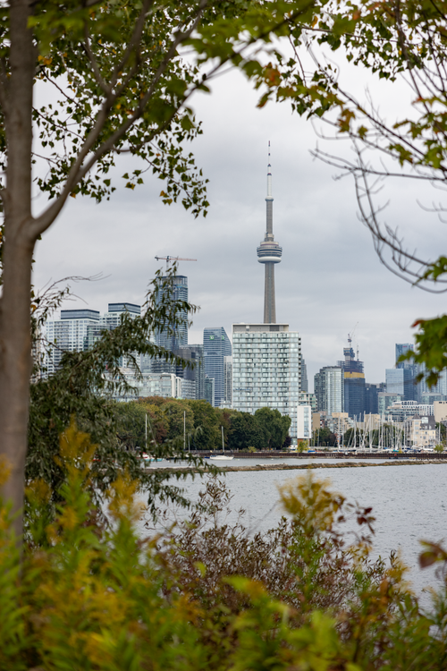 Free View of Toronto's skyline featuring the CN Tower surrounded by lush green foliage. Stock Photo