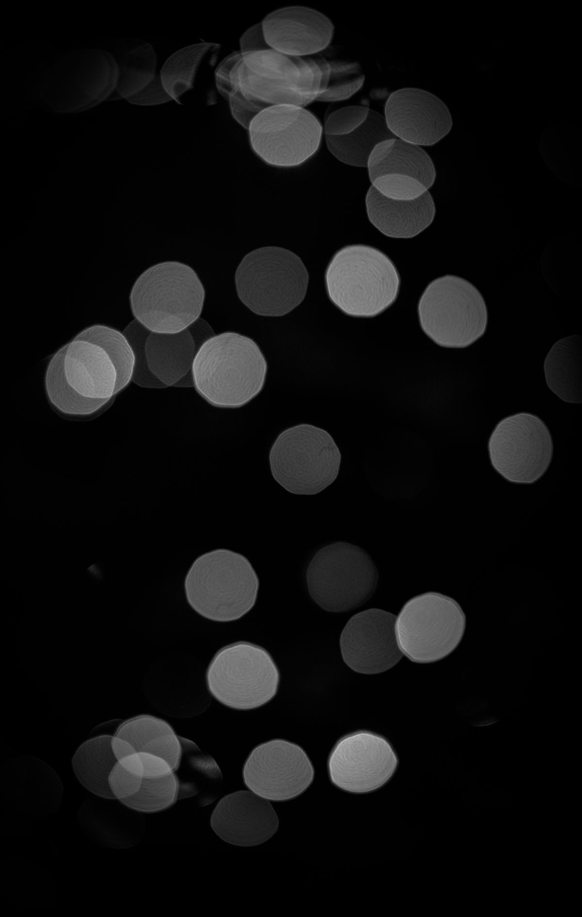 Abstract Black and White Light Bokeh Effect · Free Stock Photo