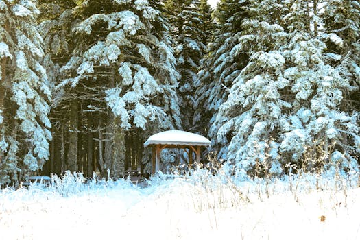 A tranquil winter scene featuring a snow-covered forest and a wooden shelter.