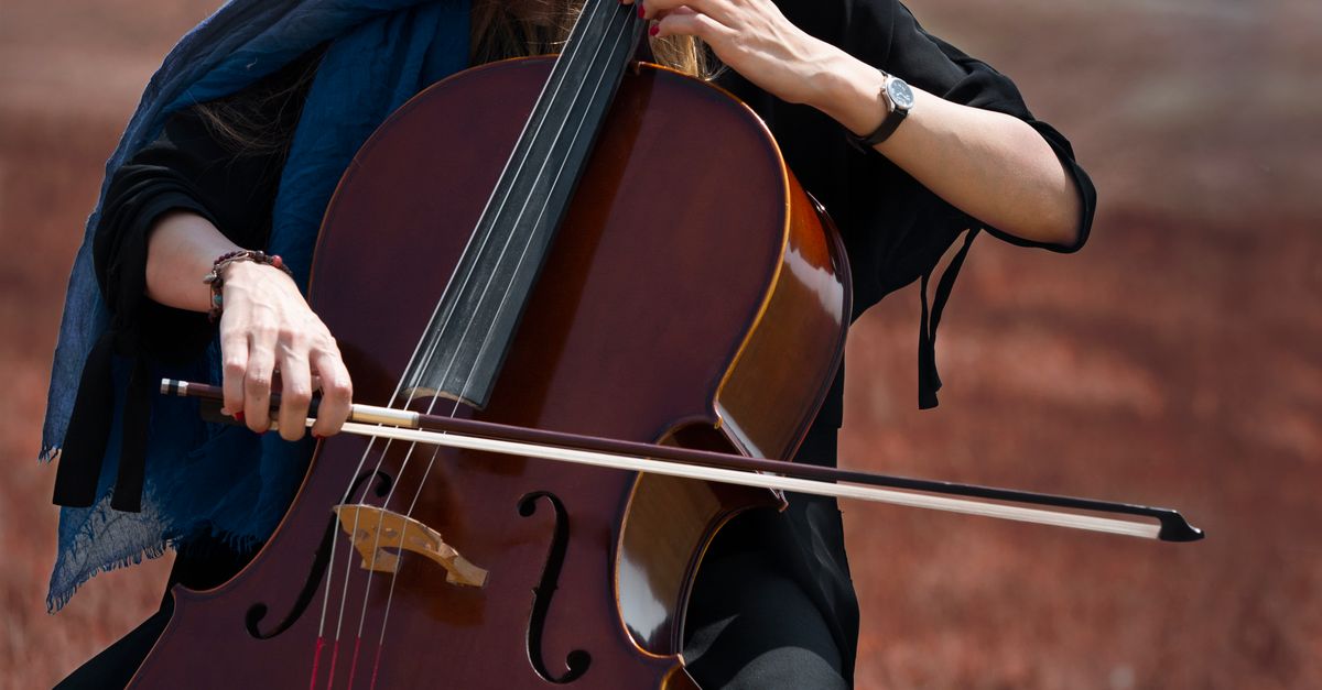 Playing Biola Woman Playing Viola · Free Stock Photo
