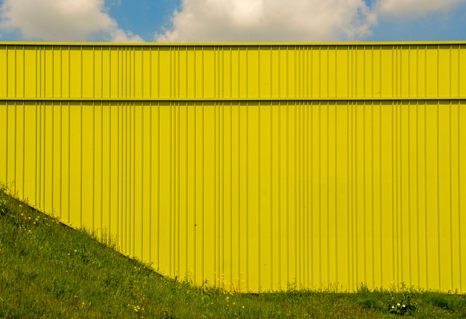 Fence and Decking Painting in White City — quality trade paint going on in two coats