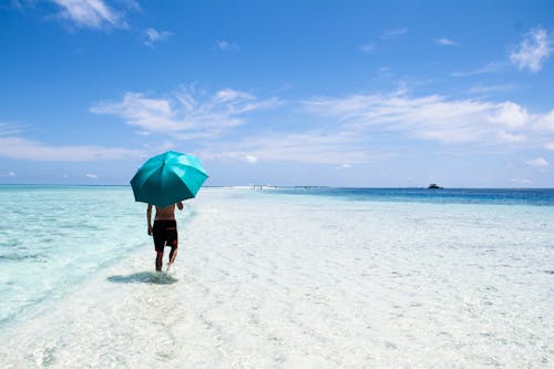 Person Walking on Seashore Holding Blue Umbrella