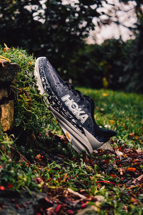Free Black trail running shoe captured in a natural outdoor environment with lush greenery. Stock Photo