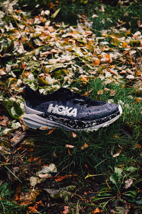 Free Black sports shoe placed on lush green grass with autumn leaves. Stock Photo