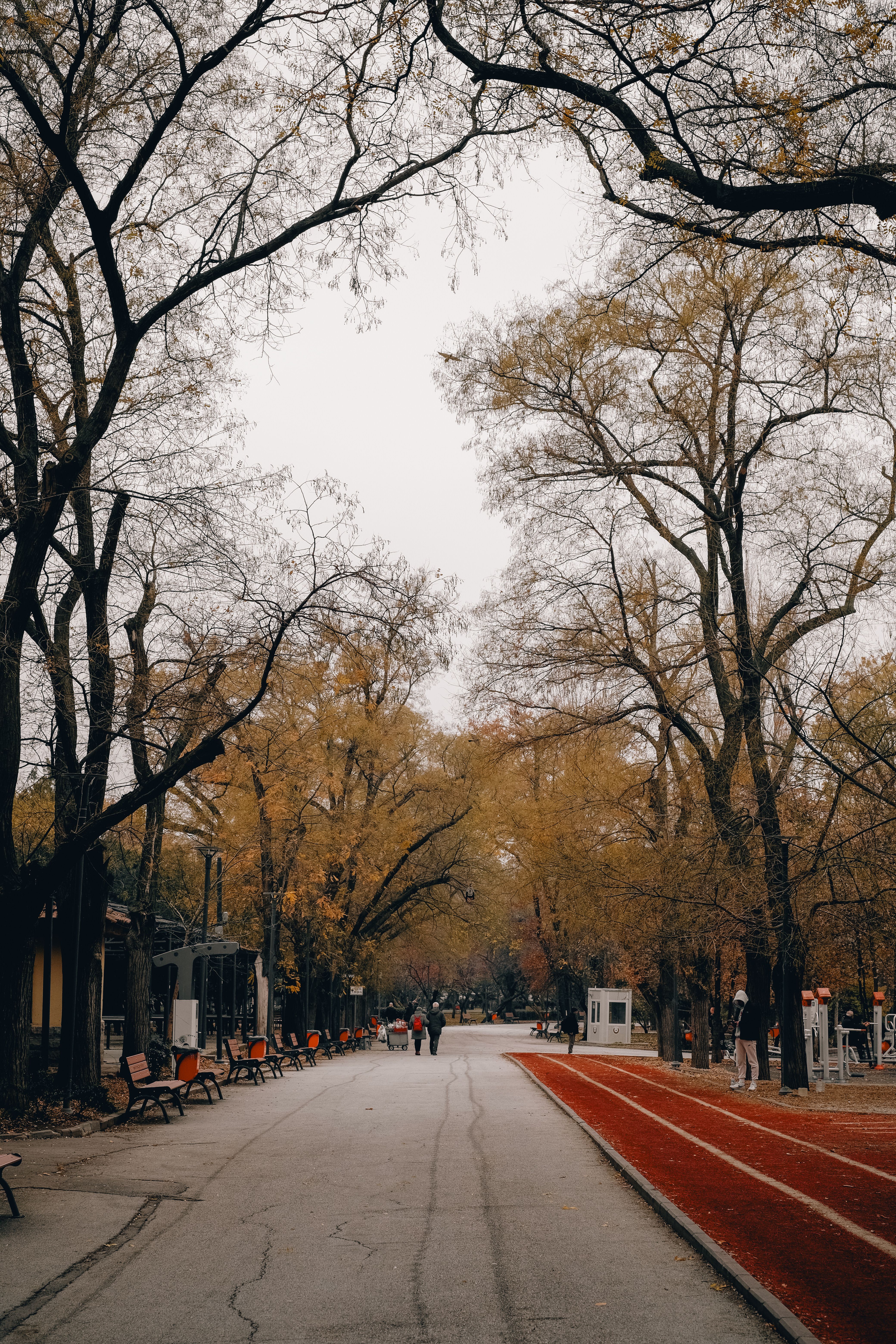 Serene Autumn Pathway in Urban Park Setting · Free Stock Photo