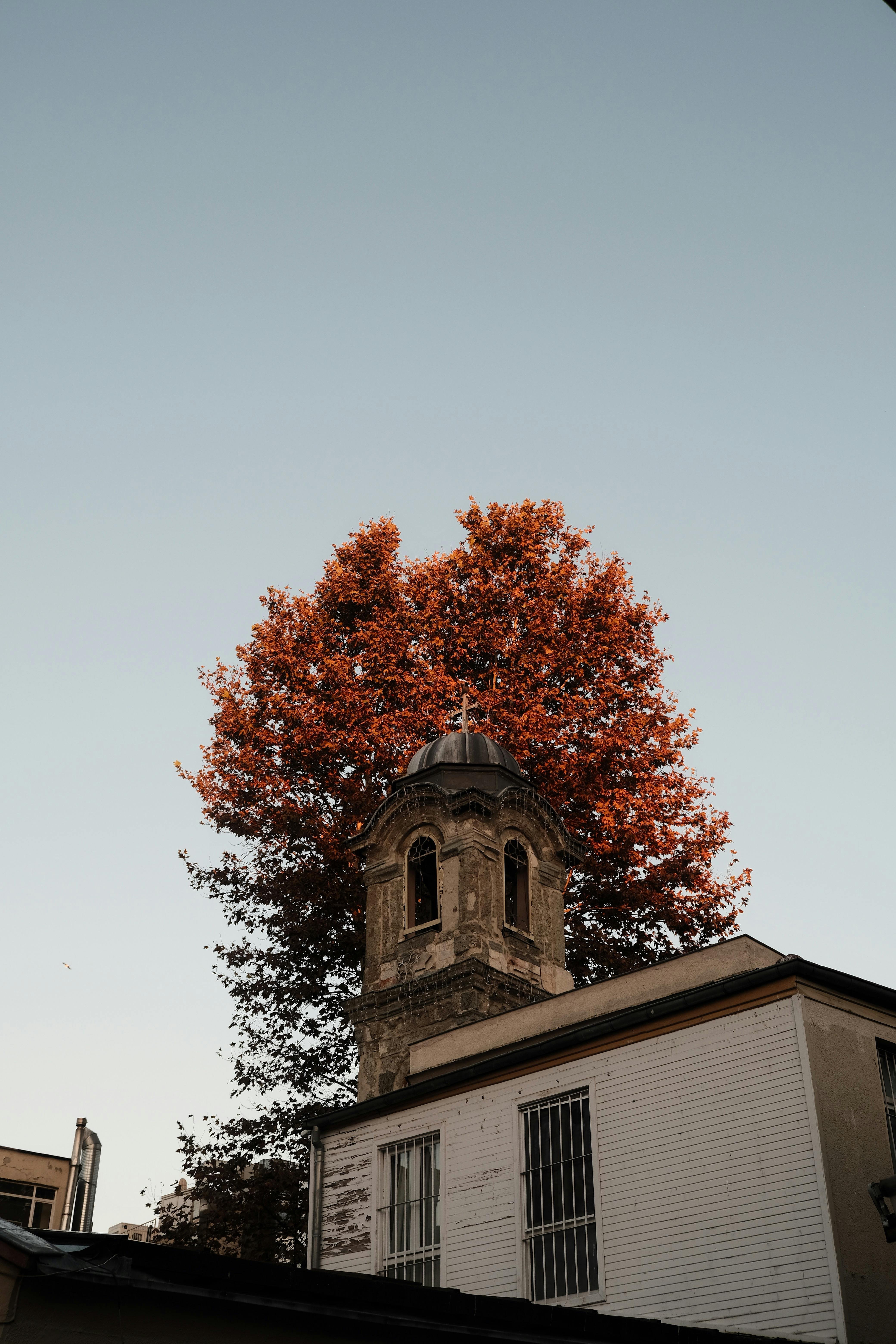 historic building with autumn foliage backdrop