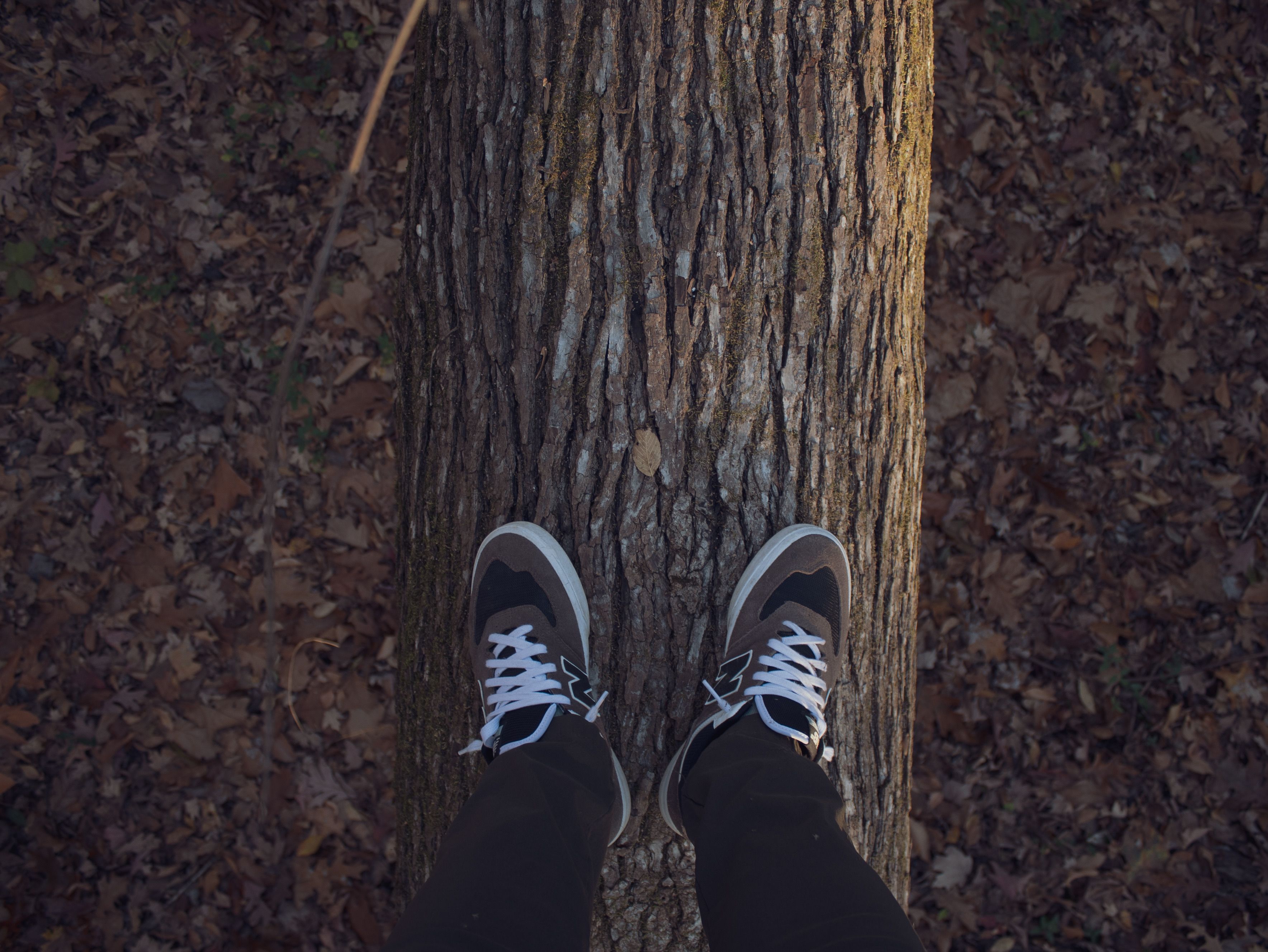A person standing on a tree trunk wearing black and white sneakers in autumn.