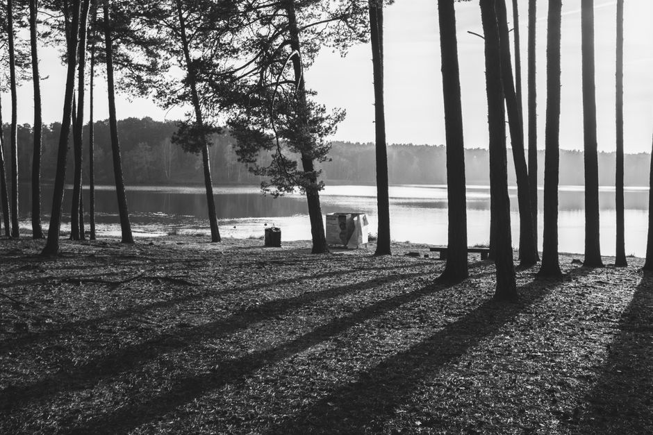 Peaceful black and white forest view by a serene lake in Poland.