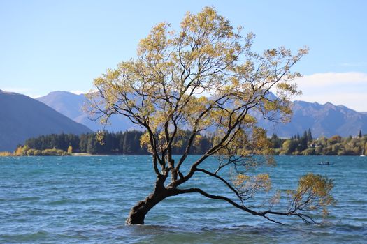 Wanaka and Roy's Peak hike — New Zealand — Queenstown