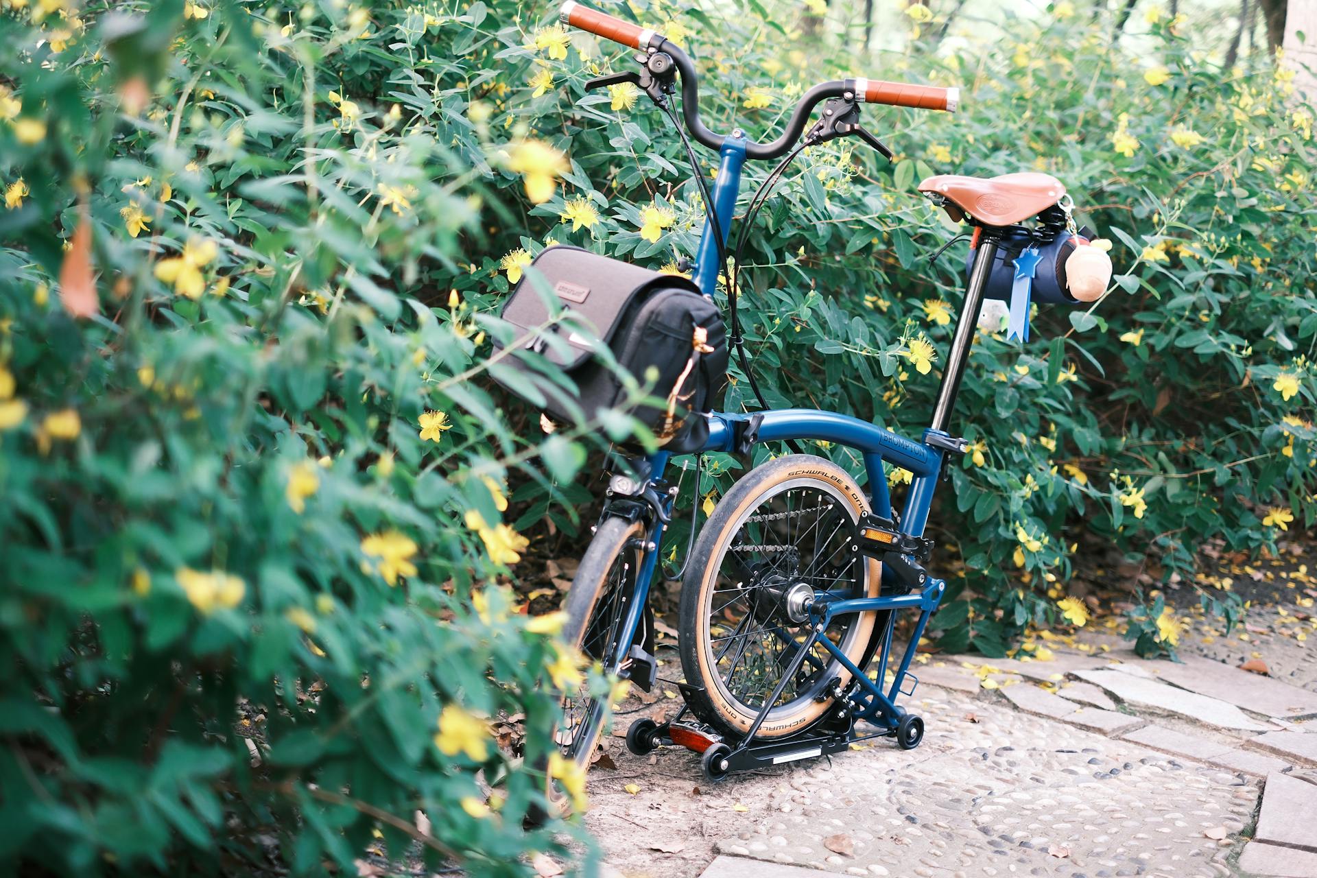 A sleek folding bicycle parked among vibrant yellow flowers in a natural setting, exuding a sense of adventure.