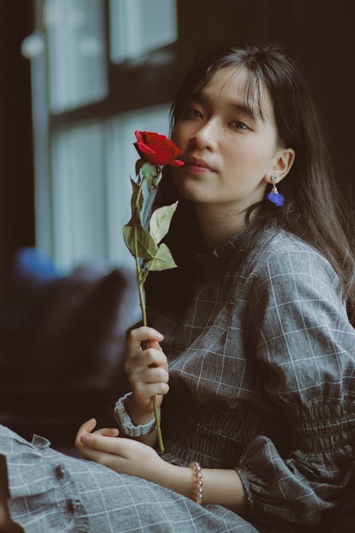 Free Woman Holding Red Rose Stock Photo