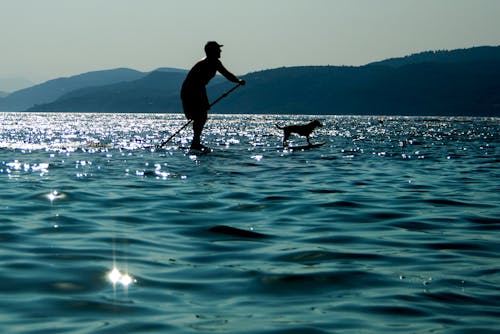Free stock photo of blue sea, dog, greece