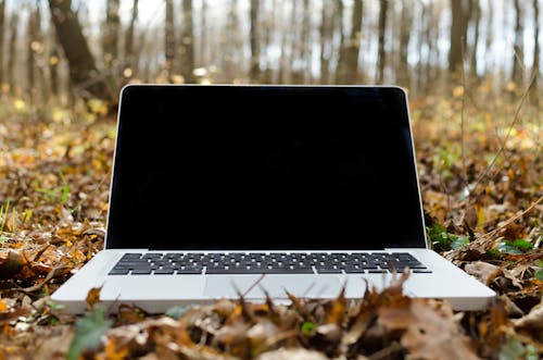 Free Silver Macbook Pro With Black Screen on Withered Leaves Stock Photo
