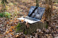 一台笔记本电脑放在宁静森林中，被秋叶环绕的树桩上