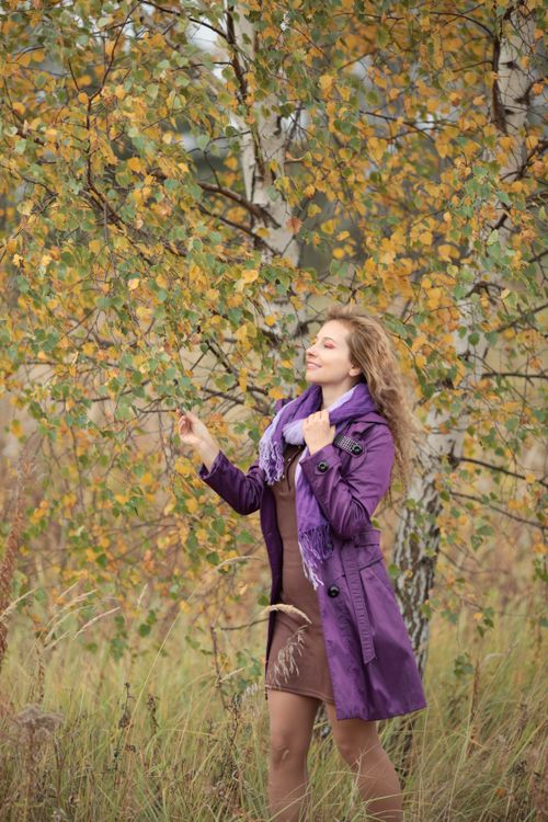 Free A woman in a purple coat enjoys the autumn scenery in a birch grove. Stock Photo