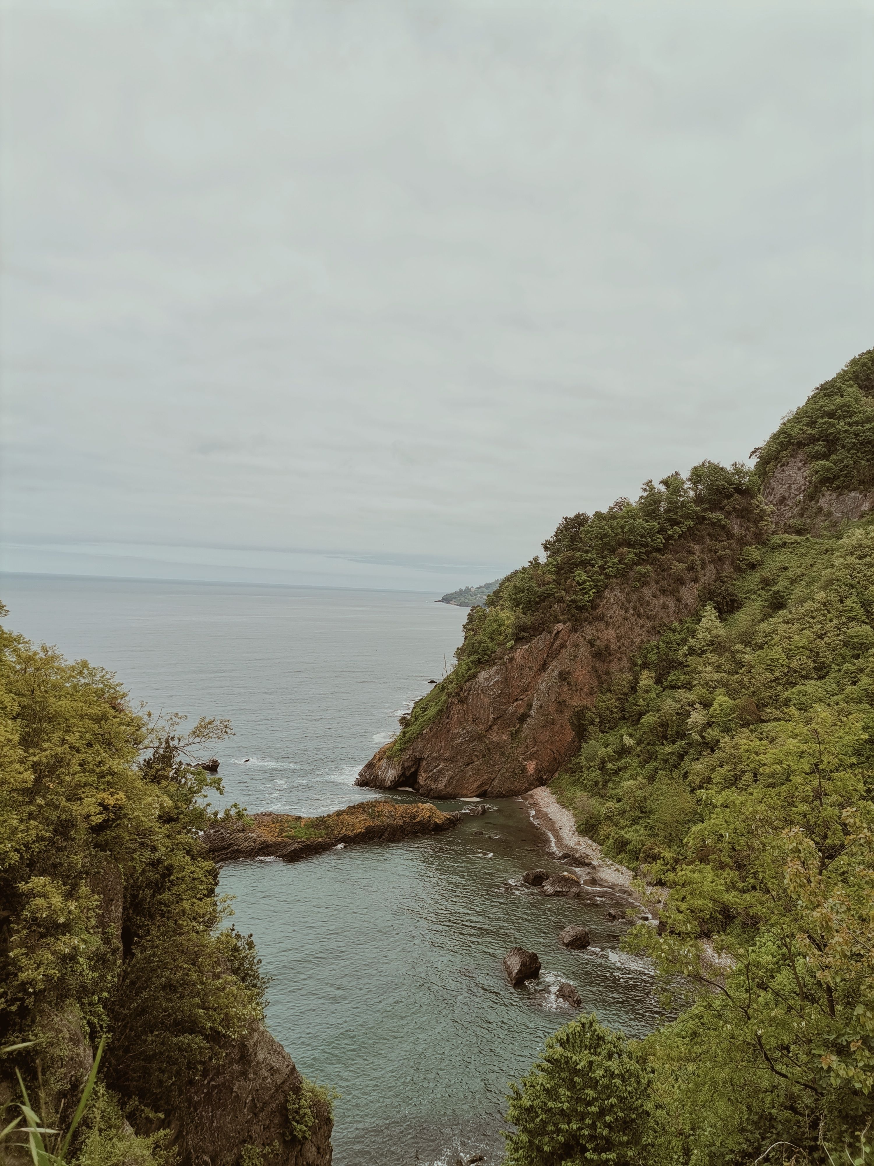 Scenic Coastal View with Lush Greenery · Free Stock Photo