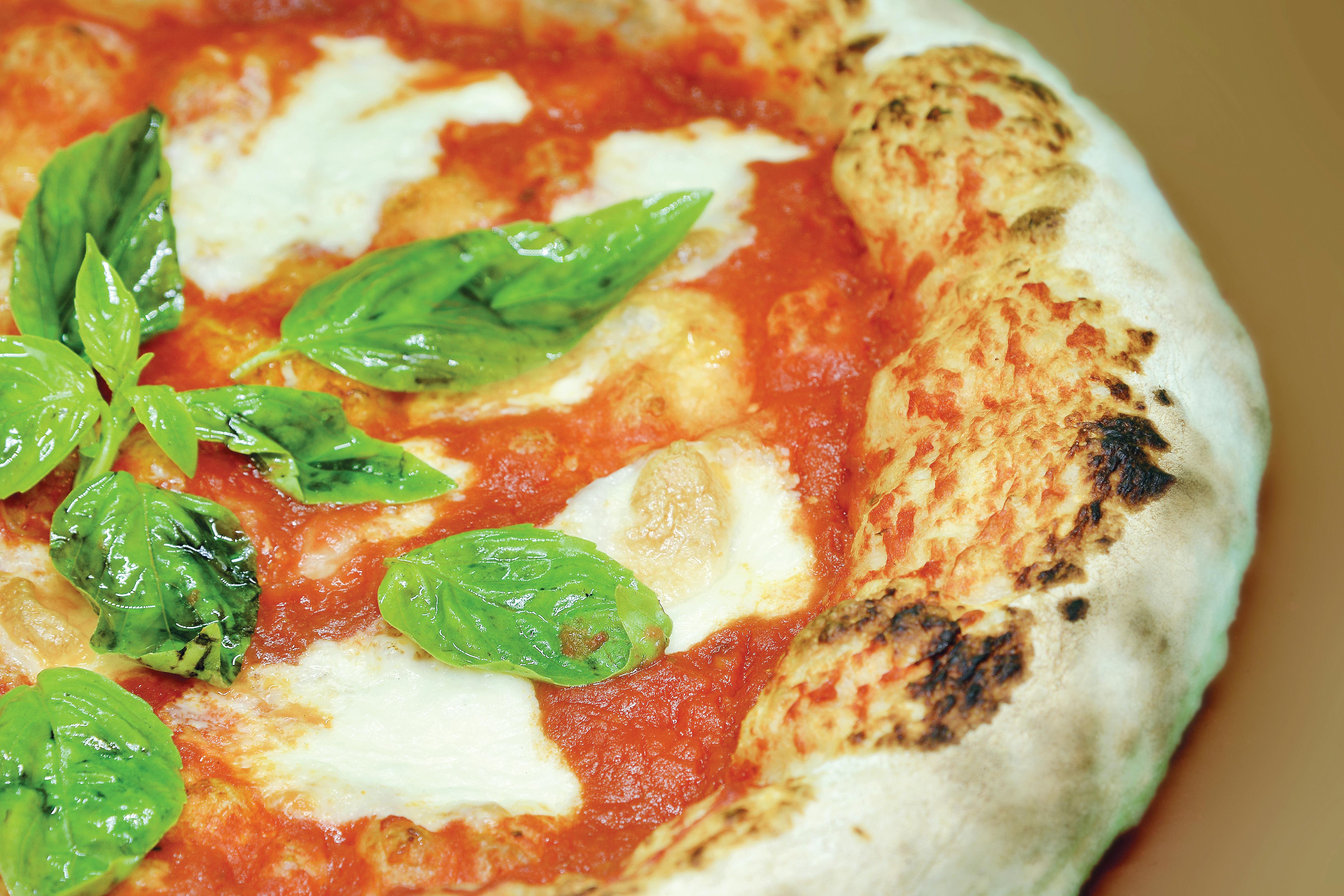 Close-up of a freshly baked Neapolitan pizza with mozzarella and basil leaves.