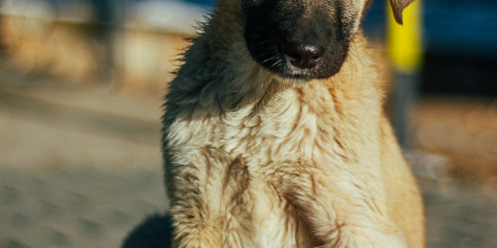 Đặt cược eSports tại fm88 để tận hưởng các giải đấu hấp dẫn trực tiếp