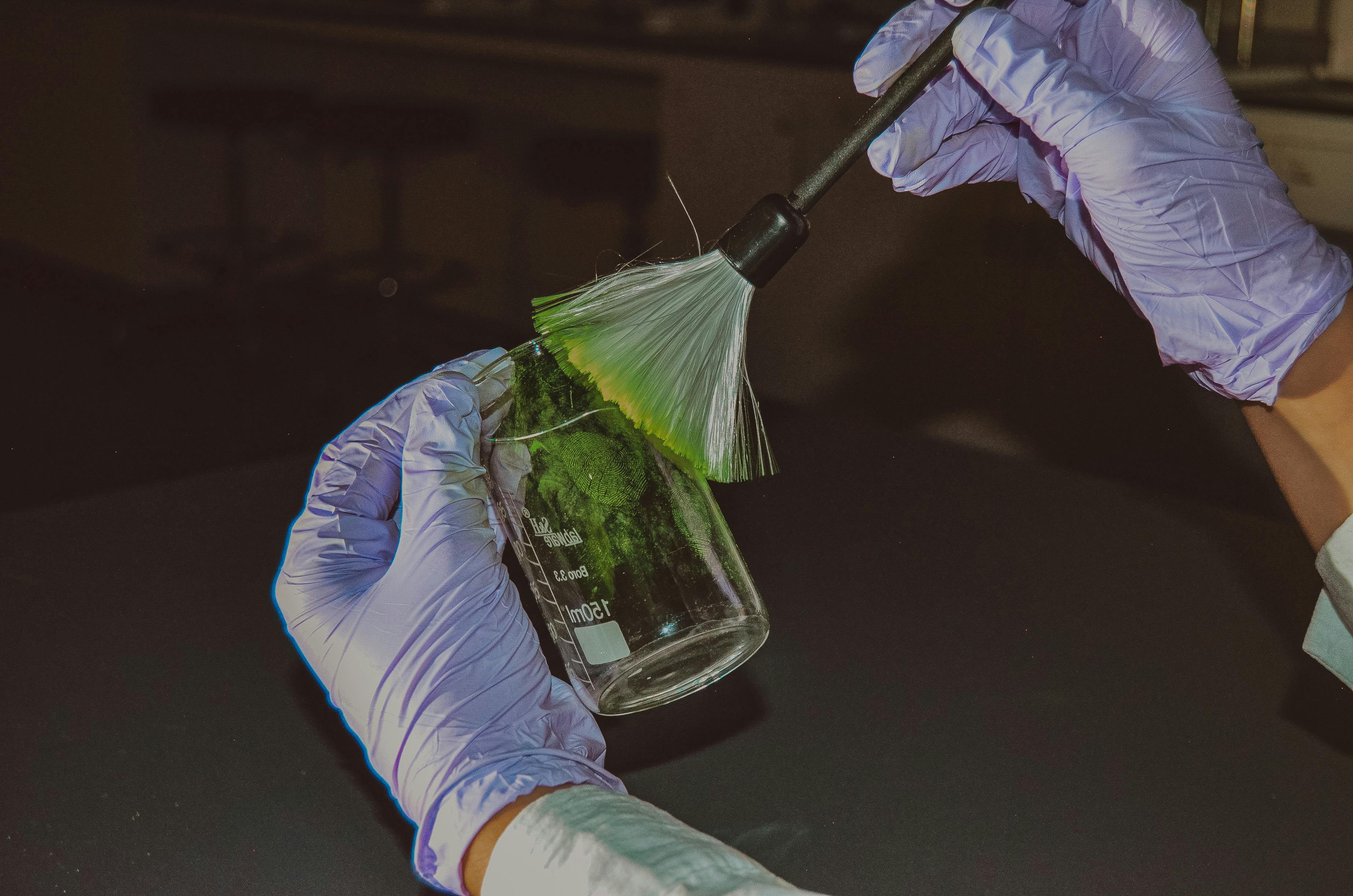 Crime Scene Photos, Download The BEST Free Crime Scene Stock Photos