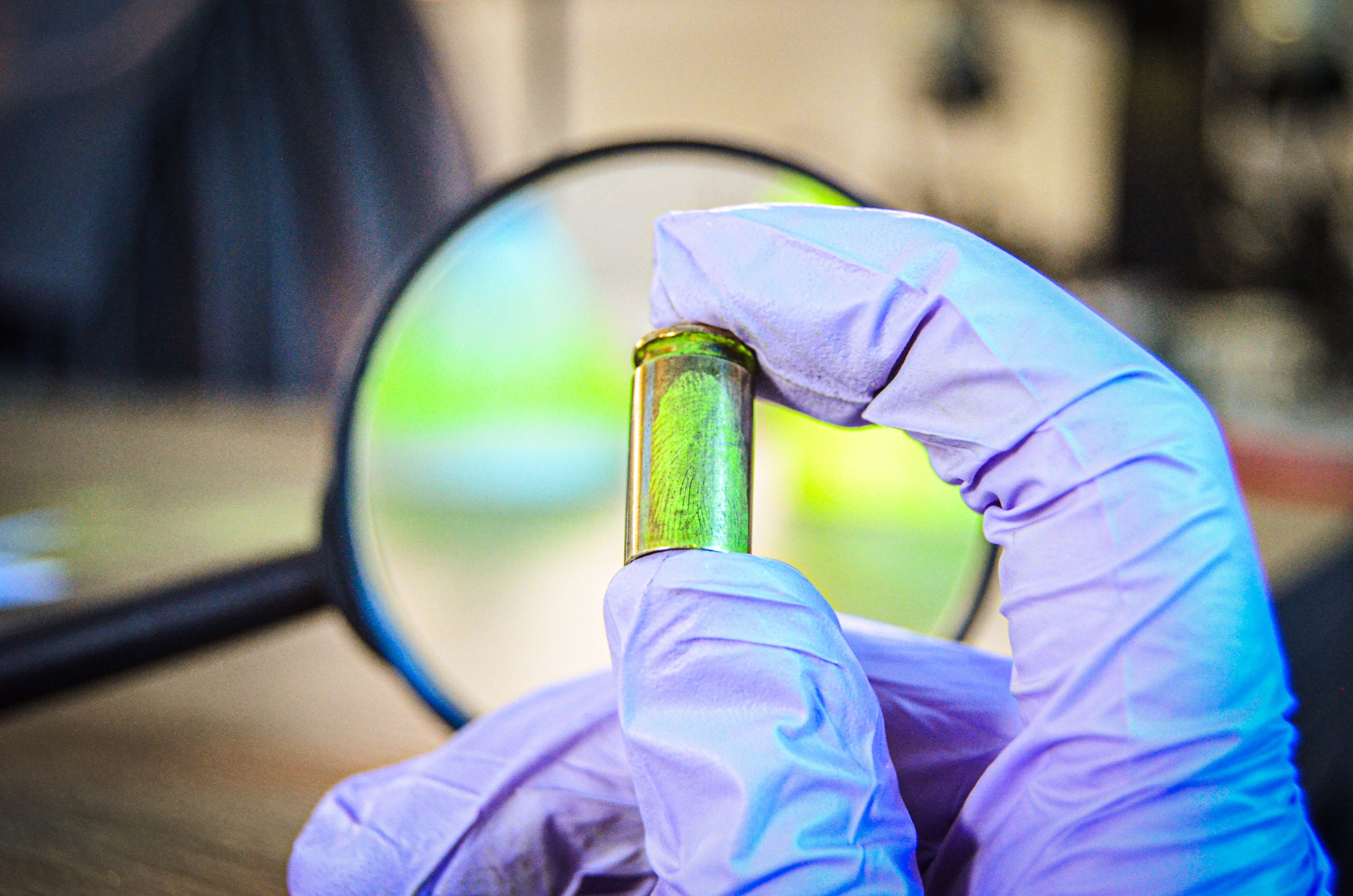 Forensic Evidence Examination with Fingerprint Detail · Free Stock Photo
