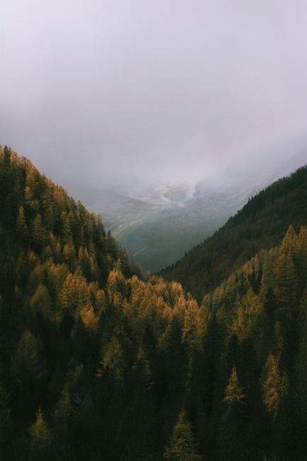 Aerial view of a misty mountain valley with autumn foliage creating a serene landscape.