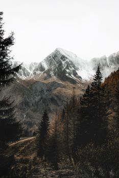 Majestic snow-capped mountains surrounded by autumn trees, creating a serene and captivating landscape.