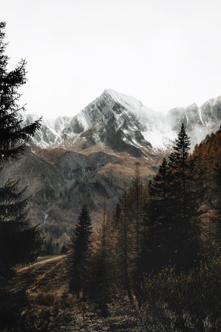 Majestic snow-capped mountains surrounded by autumn trees, creating a serene and captivating landscape.