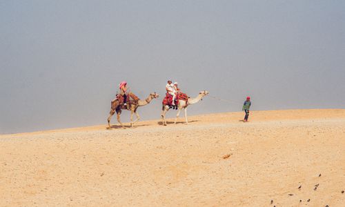 Free Tourists experience camel riding in a vast desert landscape. Stock Photo