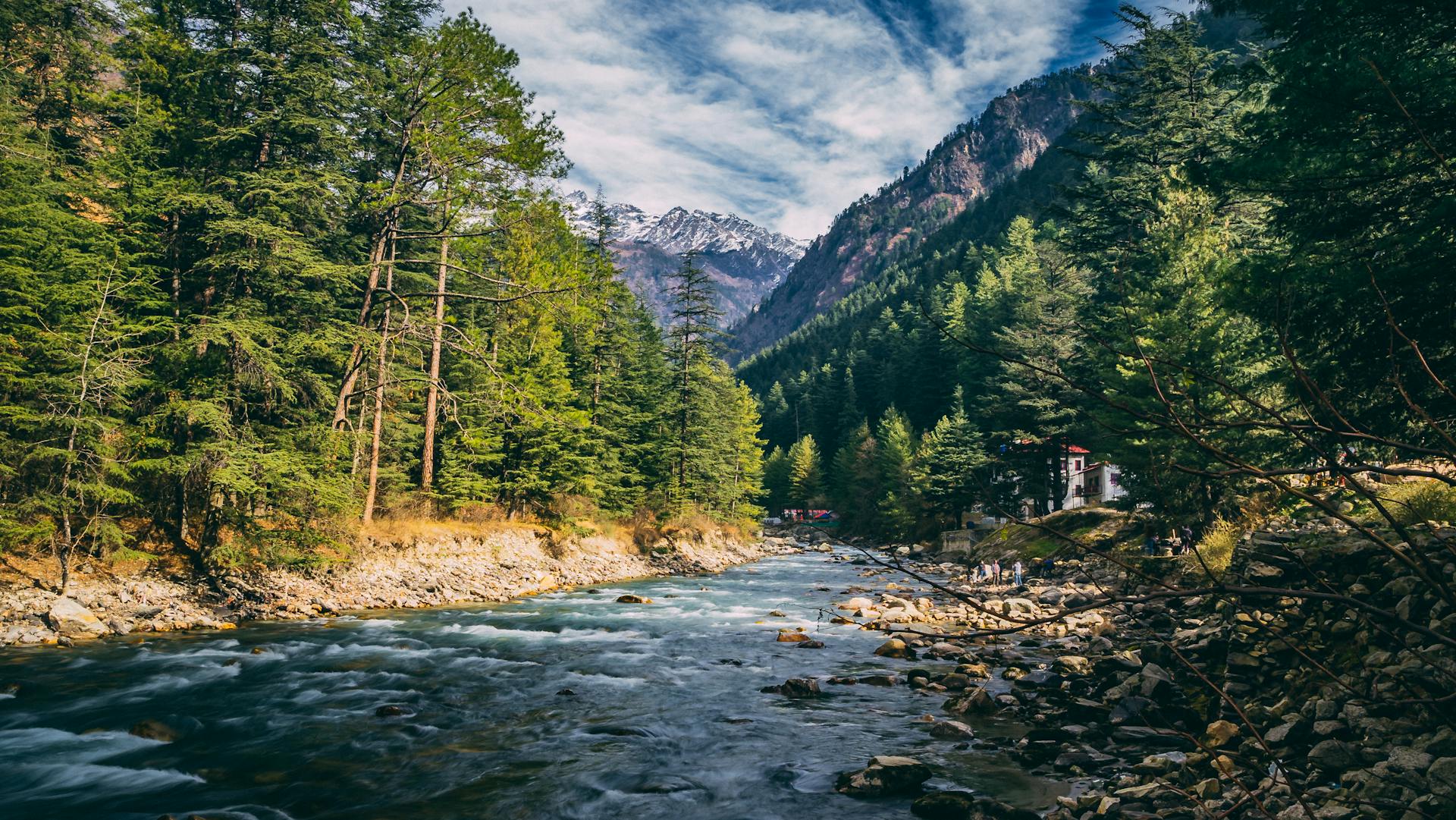 Beautiful landscape of river flowing through coniferous forest in Kasol, India with mountains in the background.
