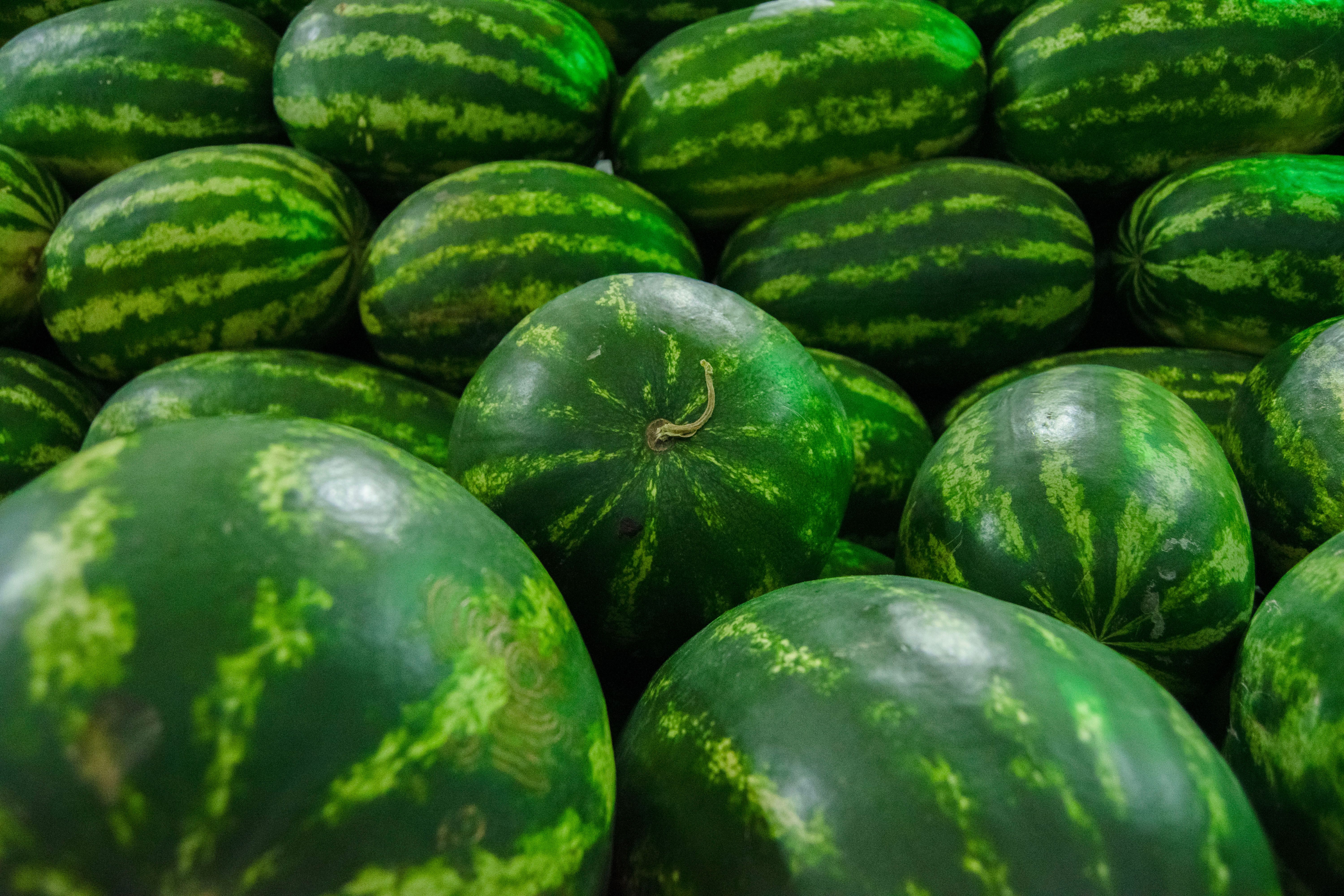 Tag der Wassermelone