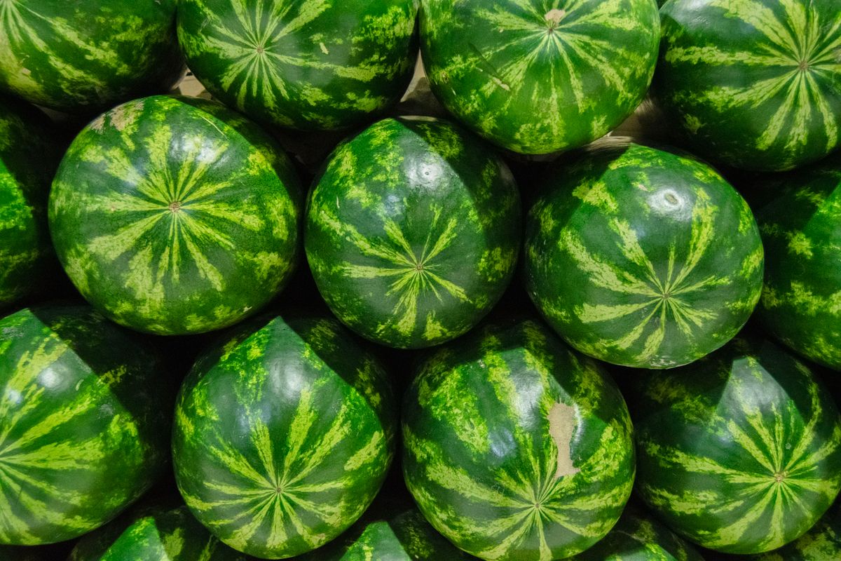 Fresh watermelons