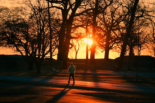 A person walks through Cove Island Park during a vivid autumn sunrise in Stamford, Connecticut.