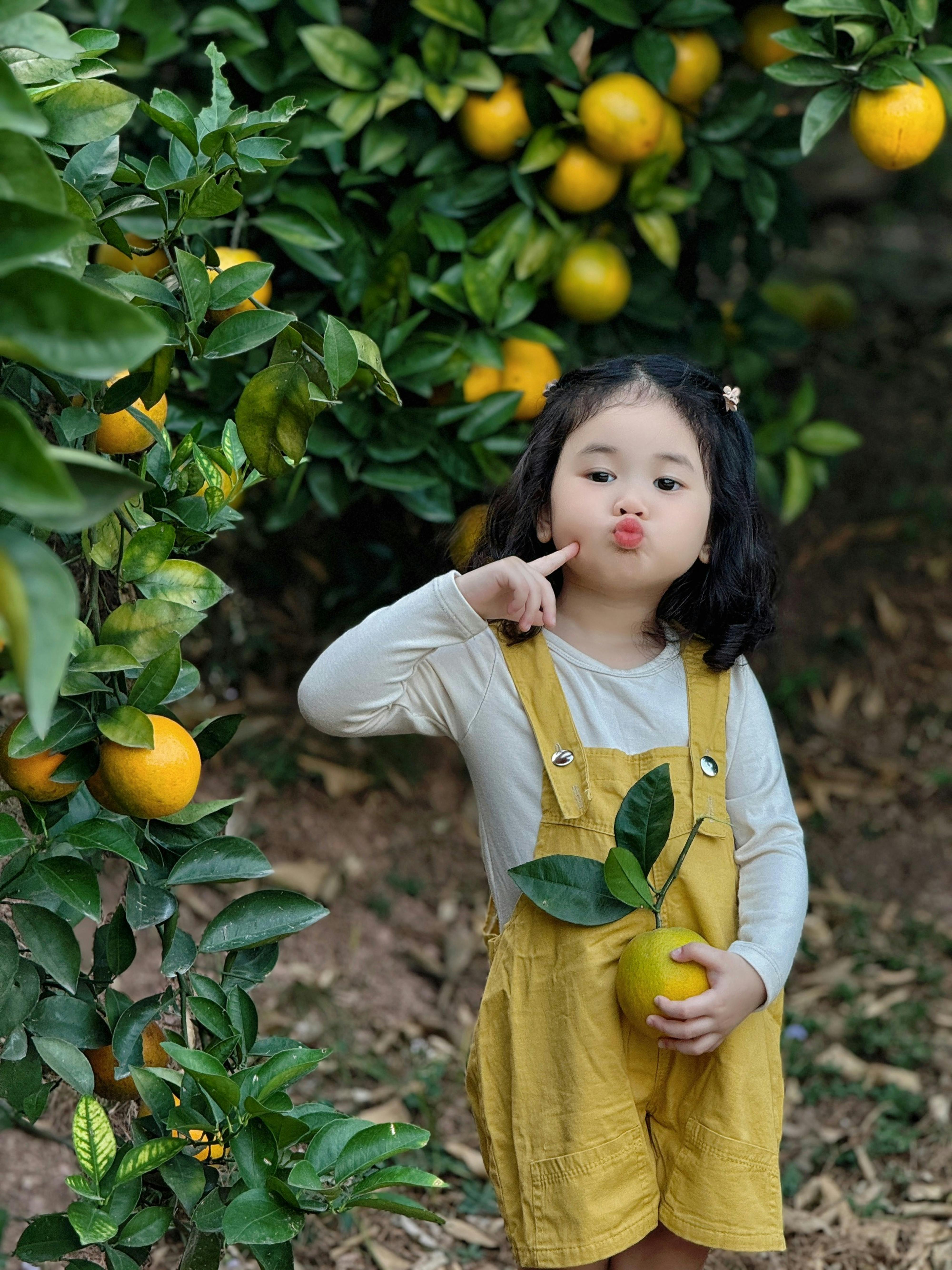Adorable child in yellow overalls holding an orange in a lush green orchard.