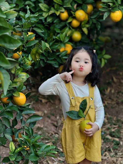 Free Adorable child in yellow overalls holding an orange in a lush green orchard. Stock Photo