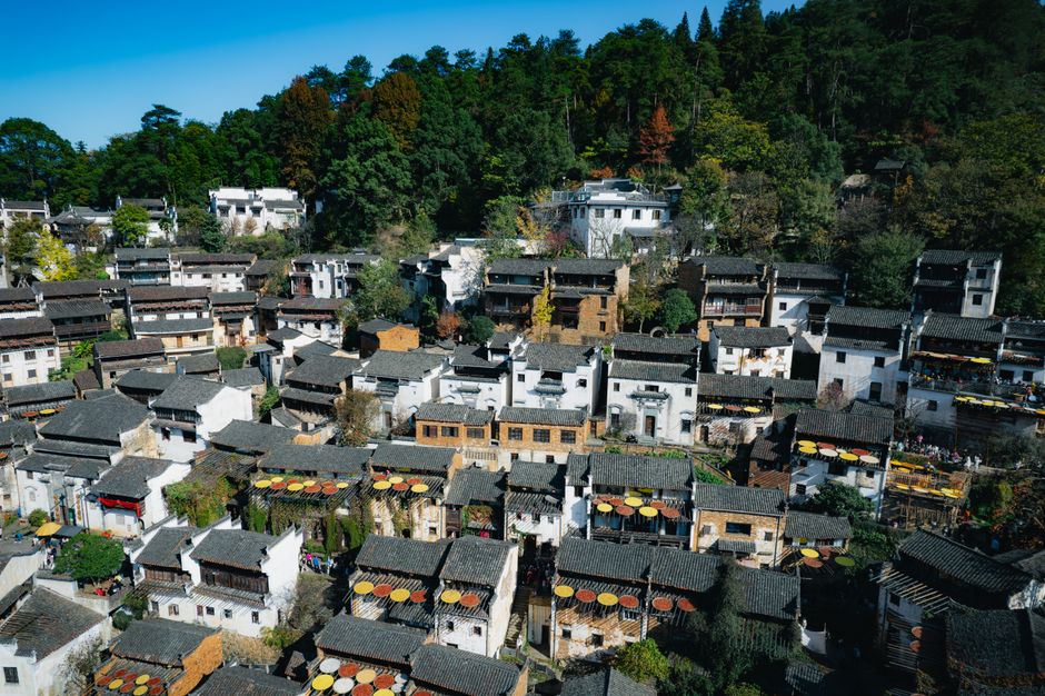 A beautiful aerial view of a traditional Chinese village with distinct tiled roofs surrounded by lus