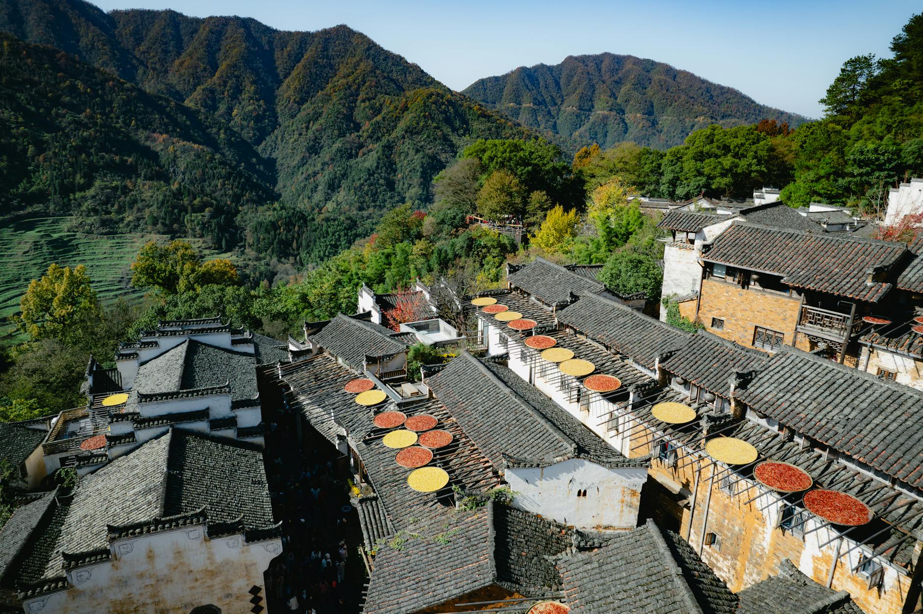 황산 갤러리 이미지
