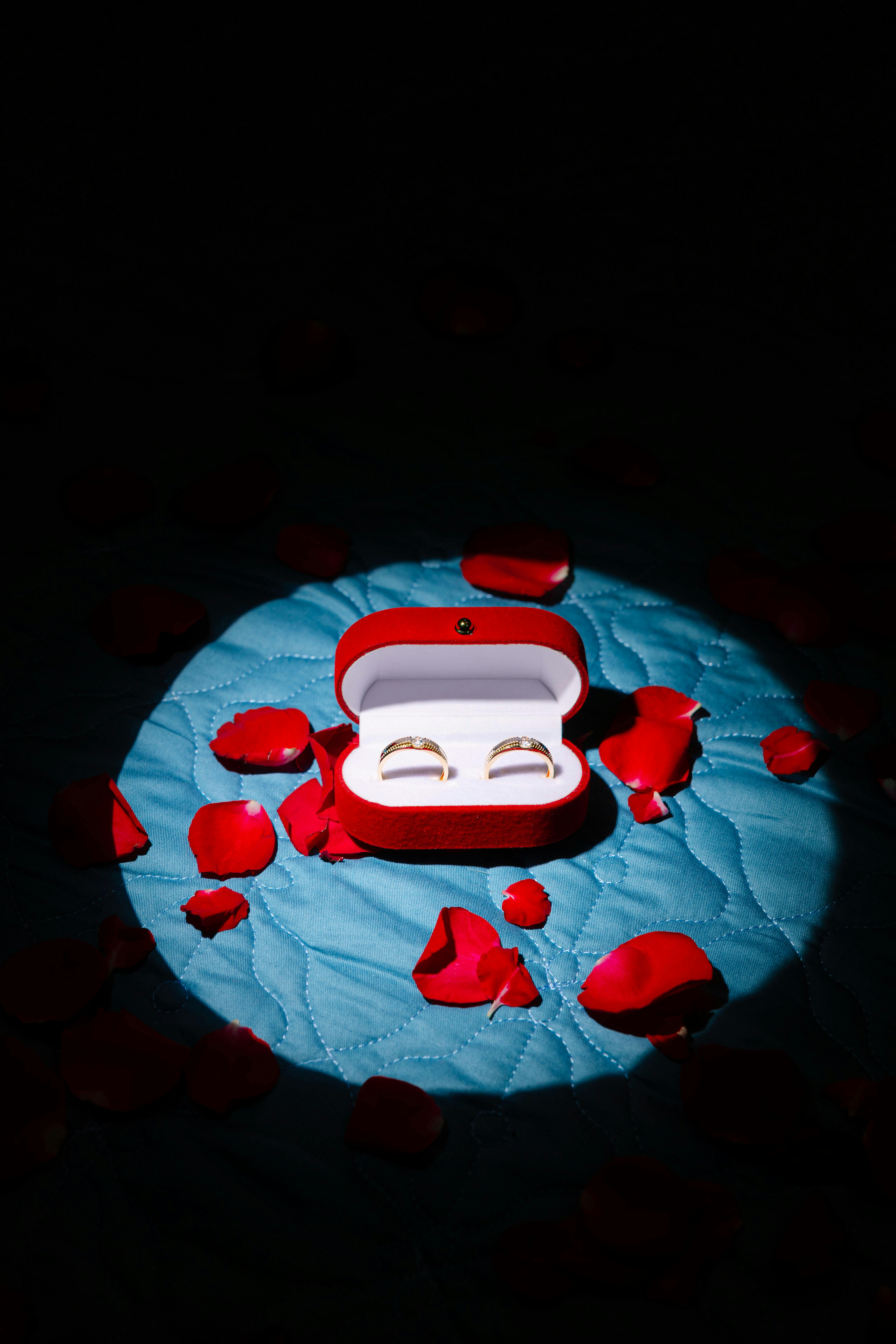 bezplatná Elegantně navržené snubní prsteny v sametové krabičce obklopené okvětními lístky růží. Základová fotografie