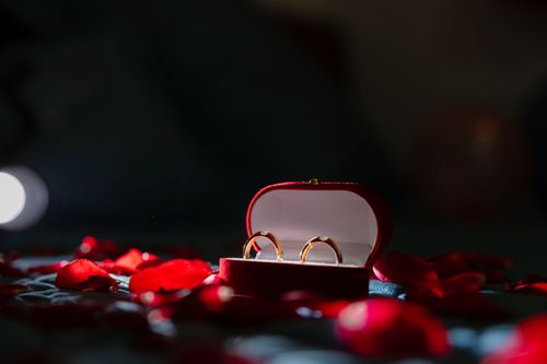 Free Two gold rings in a red velvet box surrounded by scattered rose petals, perfect for romantic themes. Stock Photo